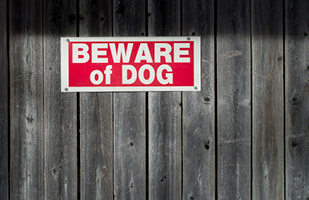 Image of a fence with a Beware of Dog sign
