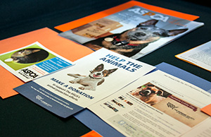 Image of various brochures and other information related to the prevention of animal cruelty and abuse
