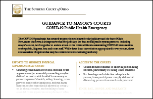 Image of the mayor's court guide document