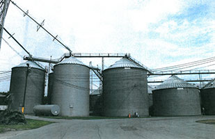 Image of a group of grain storage bins