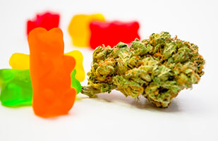 Image of gummy bears and a marijuana bud (AHPhotoswpg/iStock/Thinkstock)