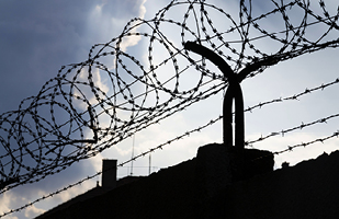 Barbed wire attached to the top of a prison wall.