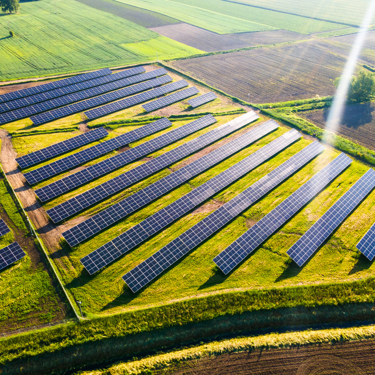 Rows of solar panels on a green field near farmland
