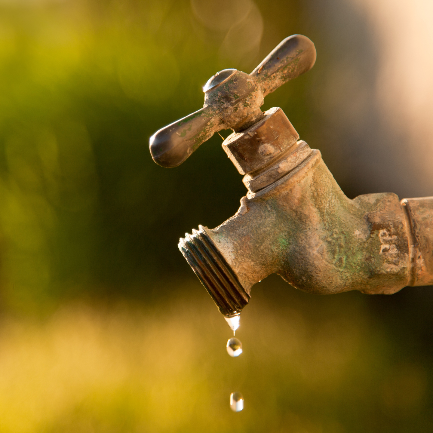 An outdoor brass spigot covered in green patina, dripping water droplets against a soft, blurred green and yellow background.