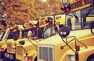 Image of a row of yellow school buses (Thinkstock)