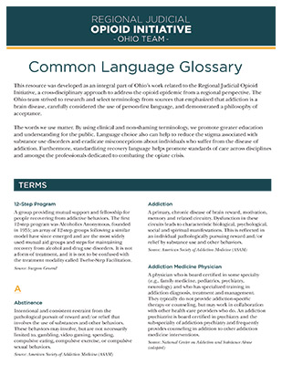 Image of the cover of the RJOI Common Language Glossary
