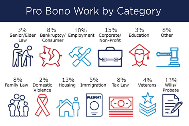 Image of a graphic showing the breakdown of pro bono work by category