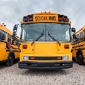 Several yellow school buses parked.