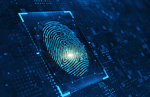 Image showing a magnified fingerprint.