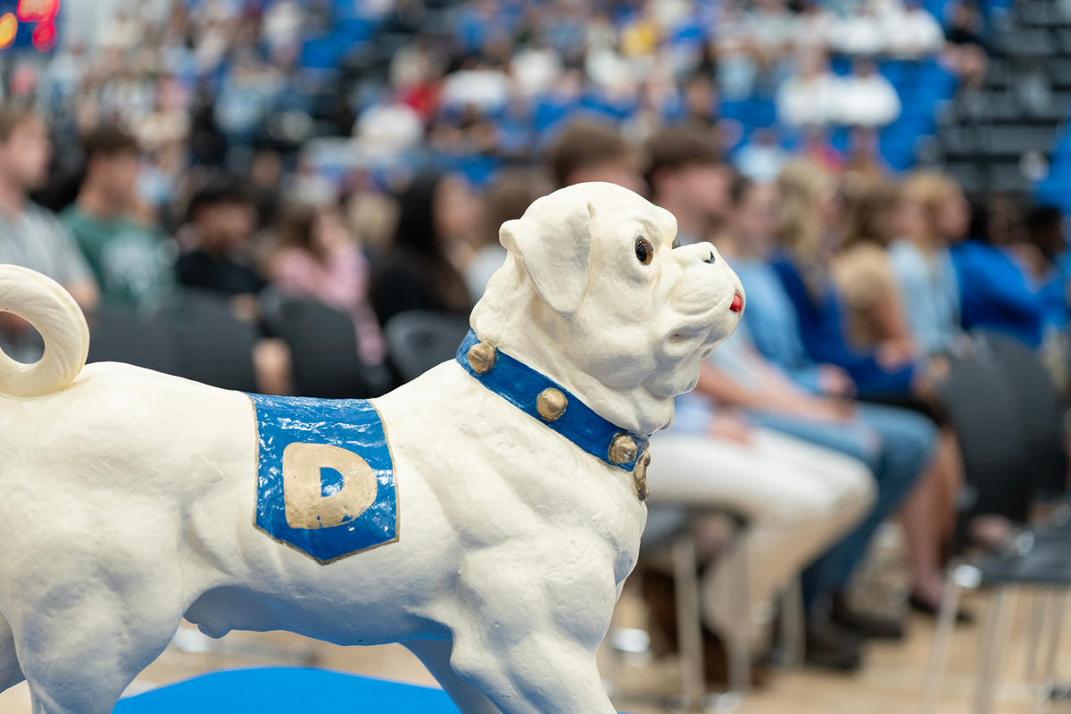 A statue of a little white dog with a blue collar and a sache with the letter D