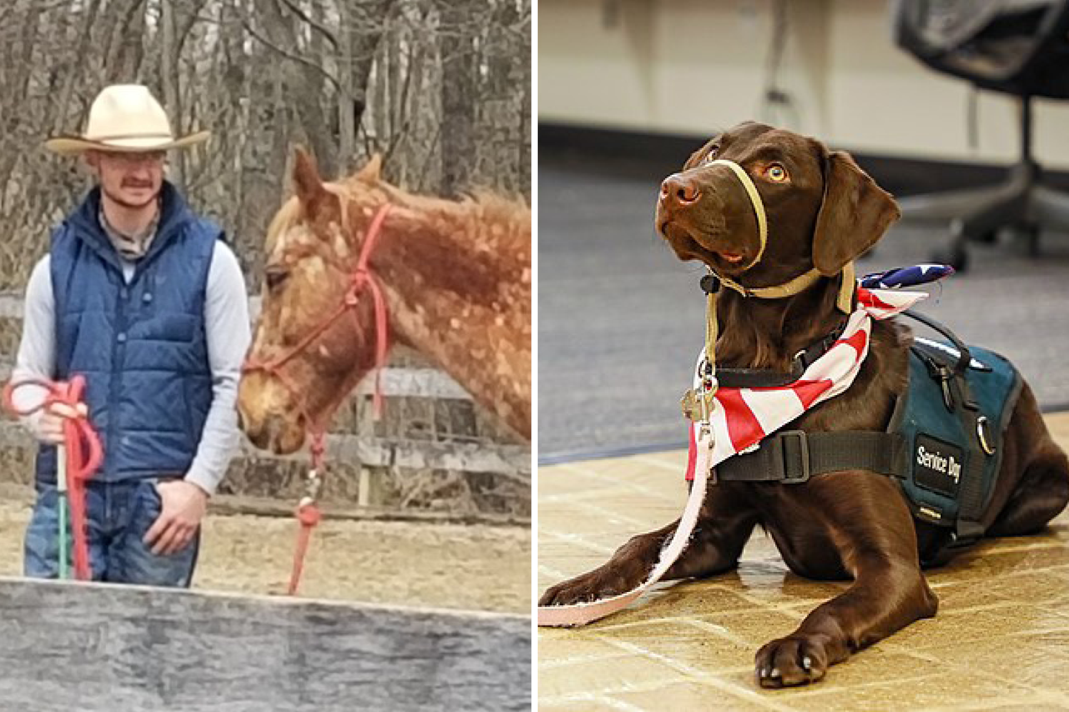 Side-by-side images of a man wearing a cowboy hat standing next to a horse and a service dog
