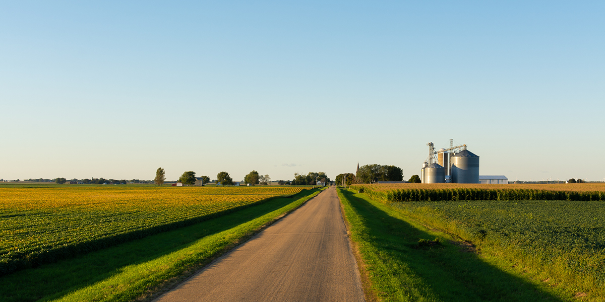 Image of a dirt road dividing a field of crops on the left and a field of crops with silos on the right.