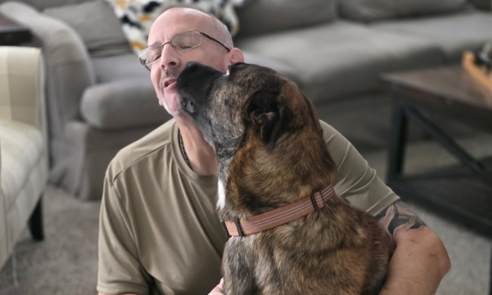 A man getting kisses from a large dog.