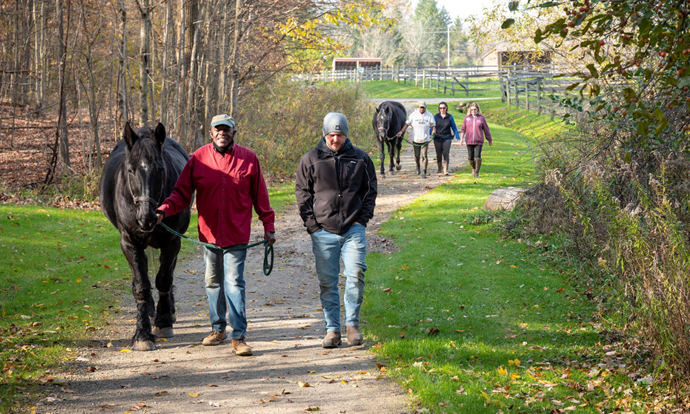 Men and women guiding horses down a path.